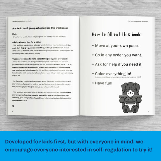 The Peace Pets Workbook Intro Page - How To Use The Peace Pets Workbook