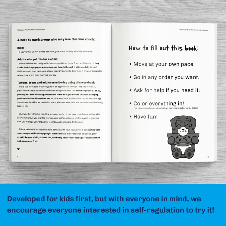 The Peace Pets Workbook Intro Page - How To Use The Peace Pets Workbook